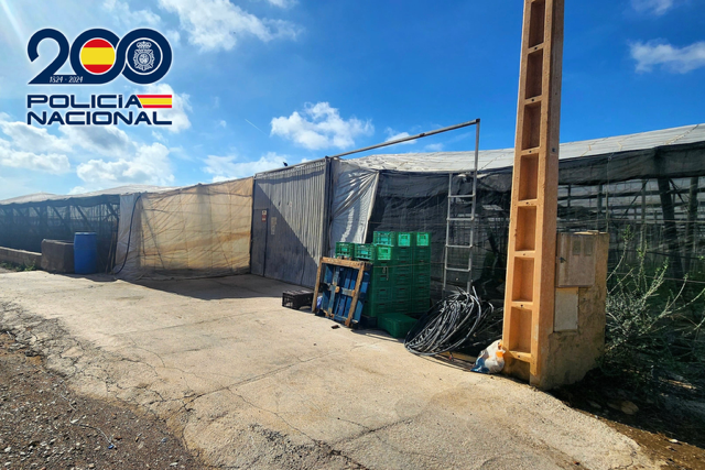 FOTO 1 - Detienen a una madre y a un hijo en Vícar por tener a nueve inmigrantes irregulares trabajando sin permiso ni alta a la Seguridad Social