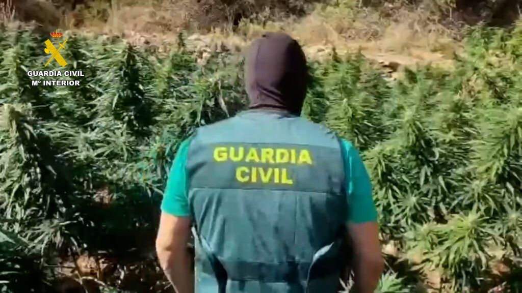 op abula almeria editada.00 01 16 07.Imagen fija004 1 - Descubren un cártel albanés asentado en Roquetas con plantaciones de marihuana repartidas por Los Filabres