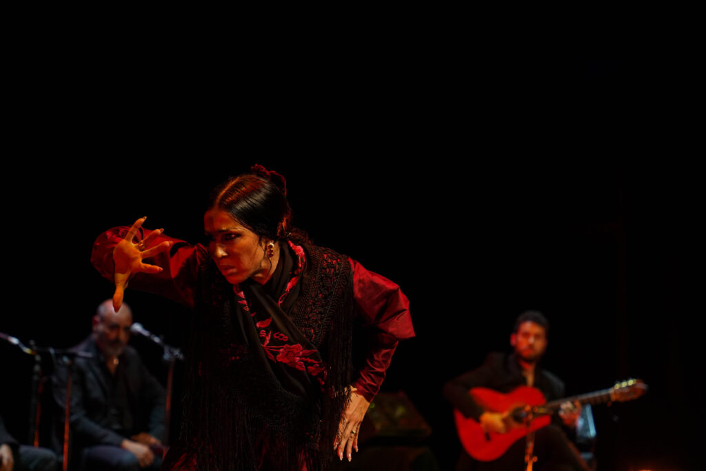 251115 IV GALA DIA DEL FLAMENCO 14 - La IV Gala del Día del Flamenco en Andalucía lleva lo mejor de este arte a El Ejido