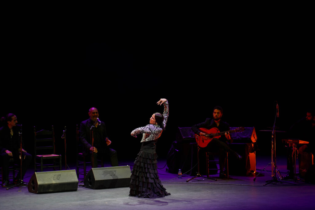 251115 IV GALA DIA DEL FLAMENCO 4 - La IV Gala del Día del Flamenco en Andalucía lleva lo mejor de este arte a El Ejido