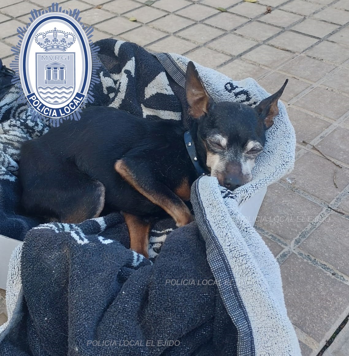 619593998 1242331957957848 8273706791336720092 n - Inicio