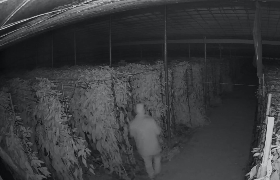 Captura de pantalla 2026 01 27 092331 - Inicio