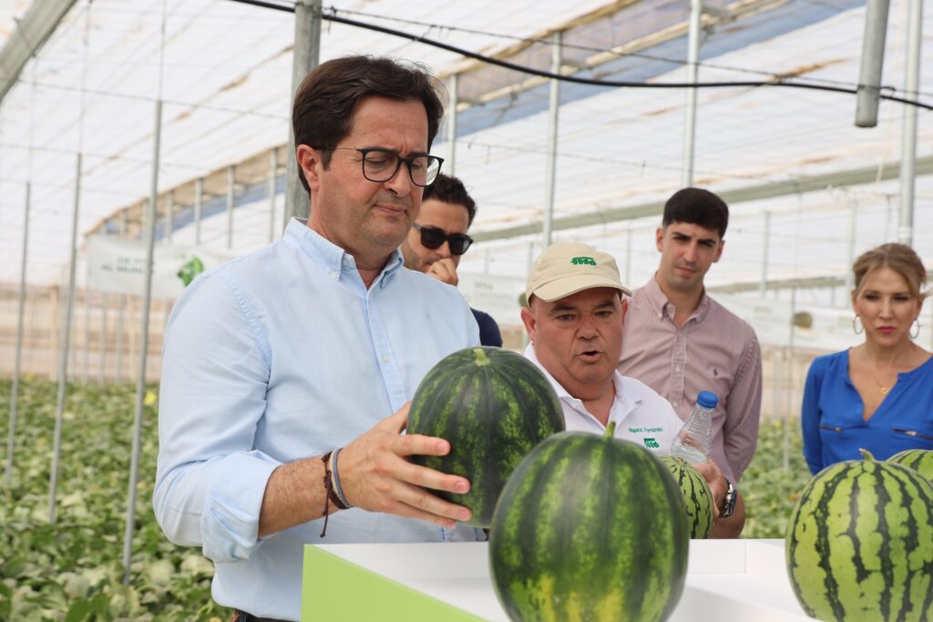6 Go¦ungora visitando una de las jornadas de la obtentora Semillas Fito¦u que .sandi¦ua - El Ejido, centro neurálgico de producción, comercialización e investigación agrícola