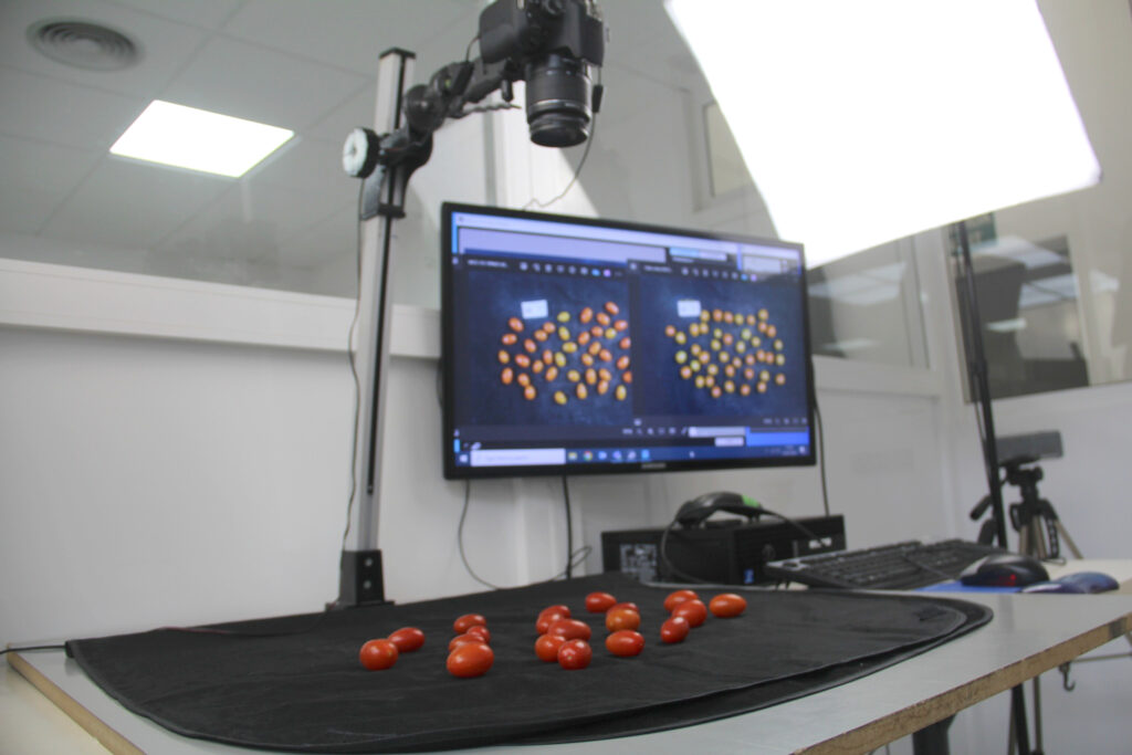 7 La investigacio¦un es ingrediente esencial del modelo agri¦ucola de El Ejido - El Ejido, centro neurálgico de producción, comercialización e investigación agrícola