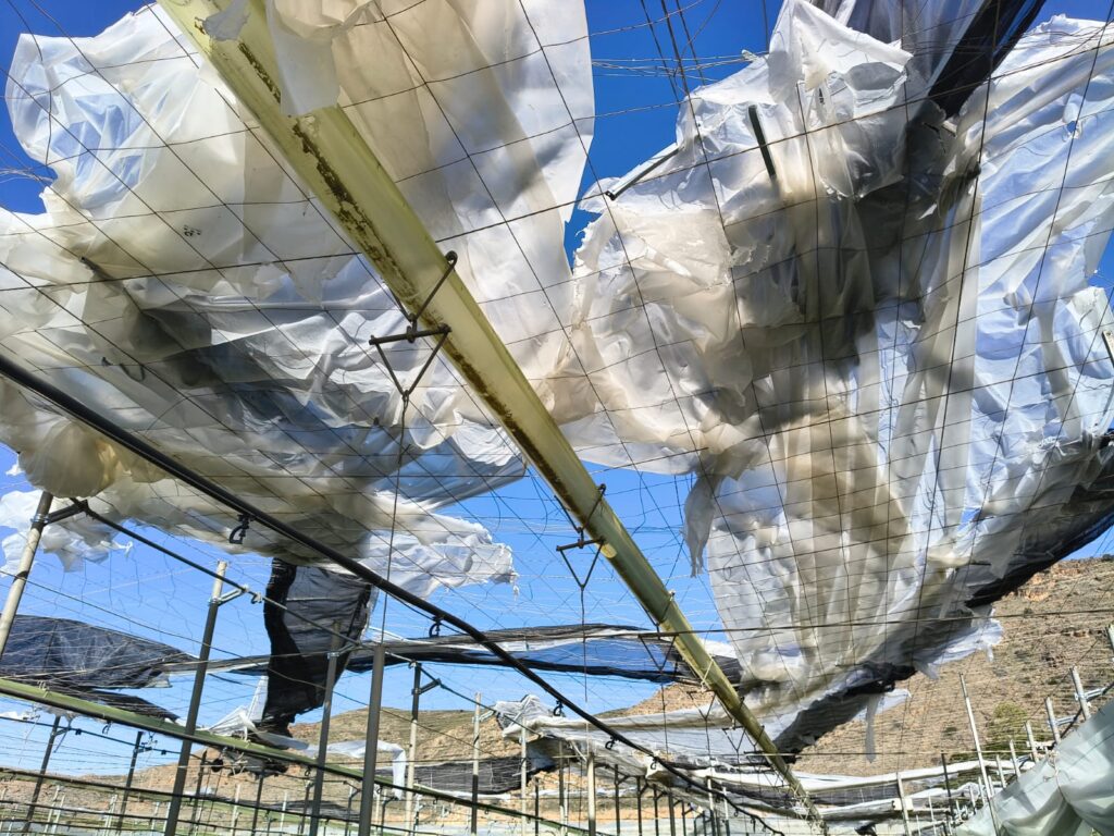 Oriana danos7 - La borrasca Oriana destruye más de 50 hectáreas de invernaderos y deja 200 afectadas en El Ejido