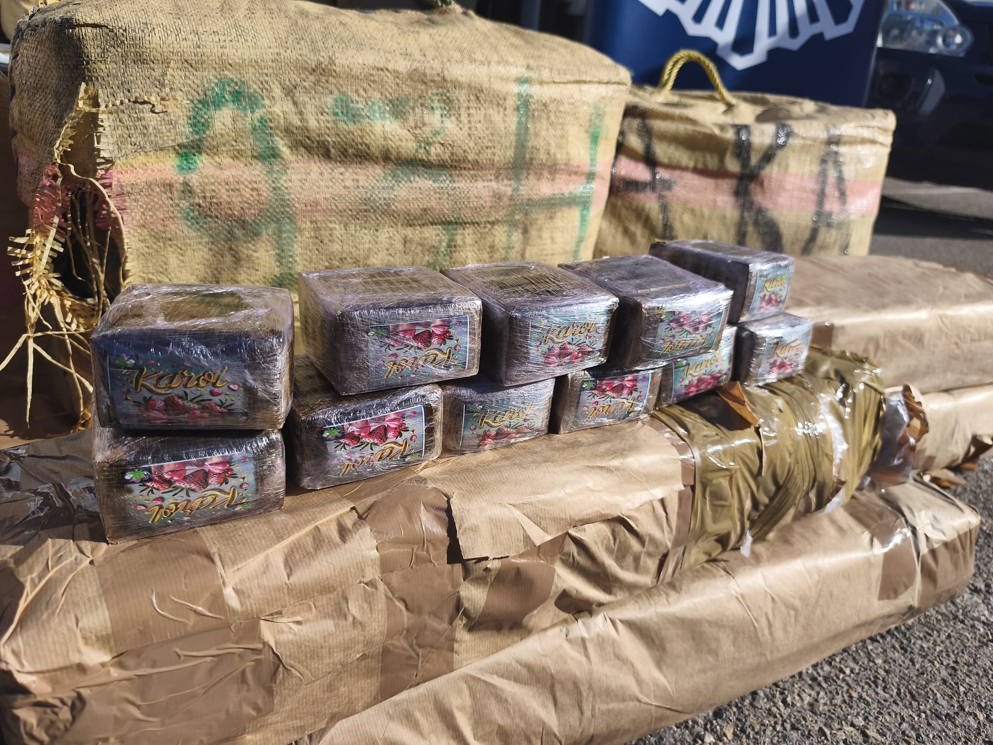 WhatsApp Image 2026 02 12 at 13.19.02 - Inicio