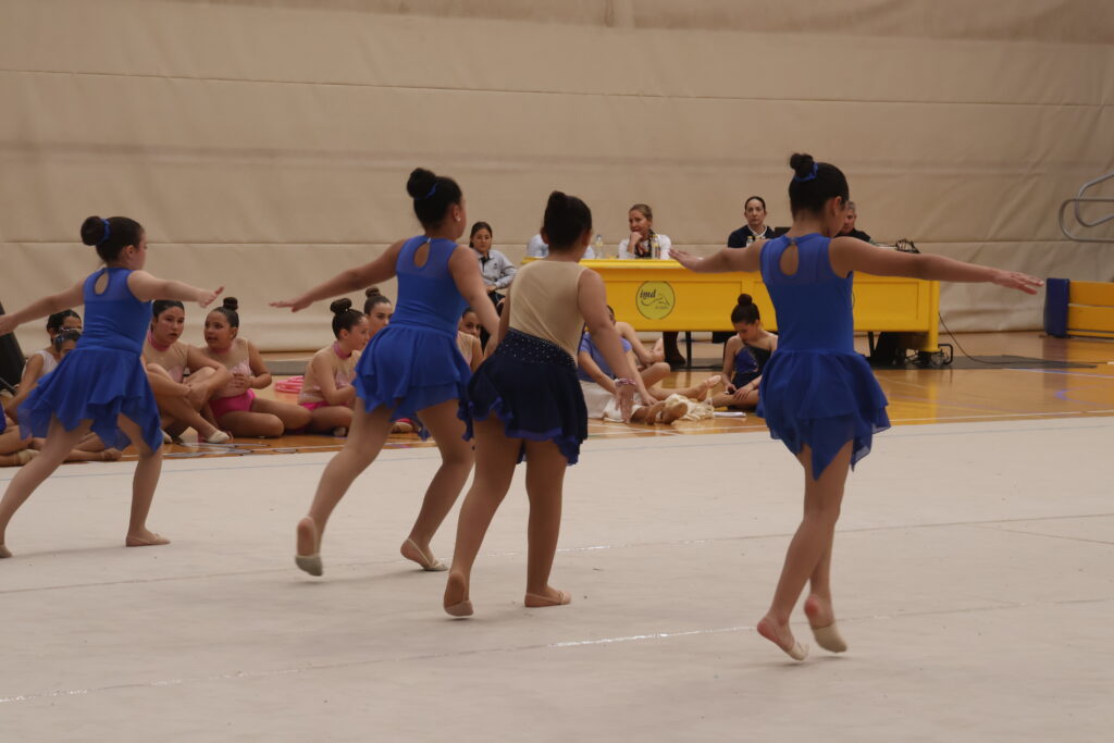 Más De 450 Alumnos De Las Escuelas Municipales De Gimnasia Rítmica ...