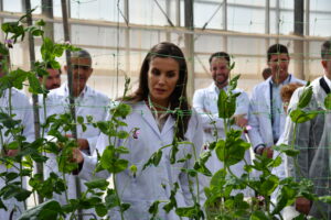 DSC 3448 1 - Así ha sido la visita de la reina Letizia a 'Las Palmerillas'