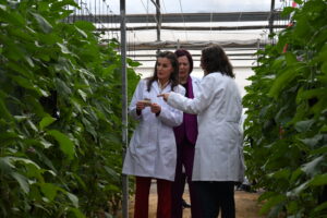 DSC 3502 - Así ha sido la visita de la reina Letizia a 'Las Palmerillas'