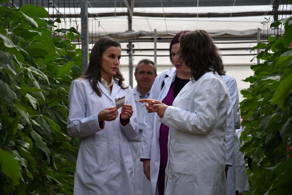 DSC 3513 - La reina Letizia demuestra su interés por la agricultura almeriense en su visita a la Estación Experimental 'Las Palmerillas' de Cajamar