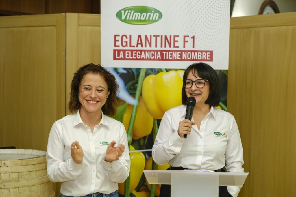 P16 02 - “Vilmorin-Mikado premia la apuesta durante una década por Eglantine F1”