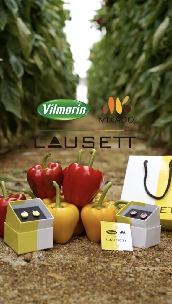 P16 03 - “Vilmorin-Mikado premia la apuesta durante una década por Eglantine F1”