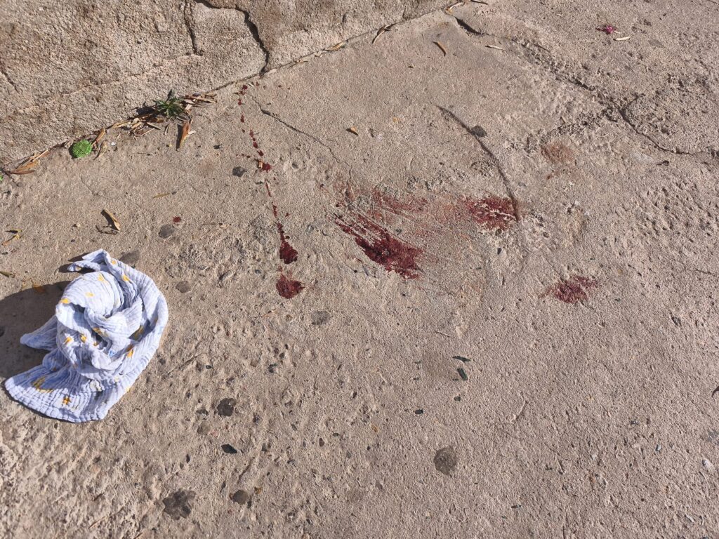 WhatsApp Image 2026 05 19 at 10.08.27 - El doble parricidio de El Ejido se investiga como violencia de género