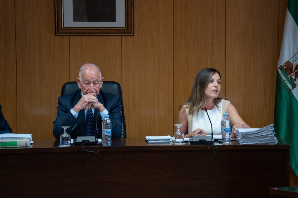 PLENO 2 1 - La UFP exige a Gabriel Amat "que deje de poner excusas para la implantación de la Policía Nacional"
