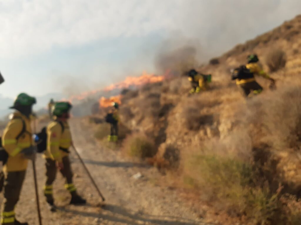 WhatsApp Image 2026 07 10 at 00.29.56 - El Poniente se solidariza con Los Gallardos por el incendio forestal en el que han muerto doce personas