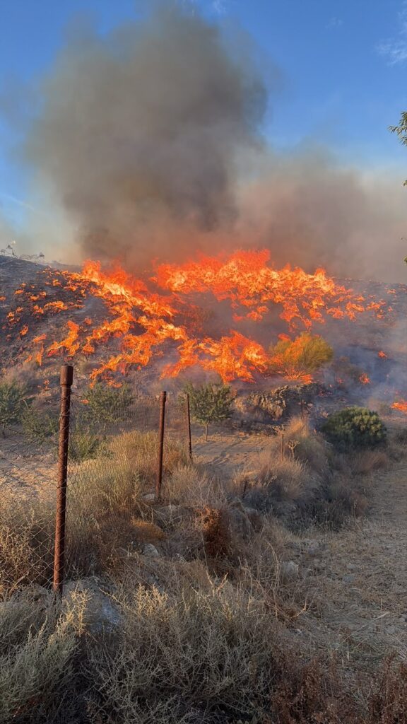 WhatsApp Image 2026 07 10 at 00.30.02 - El Poniente se solidariza con Los Gallardos por el incendio forestal en el que han muerto doce personas