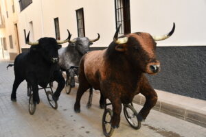 DSC 0475 - Así han sido los Toros de Fuego de Dalías