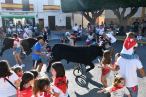 DSC 0480 - Así han sido los Toros de Fuego de Dalías