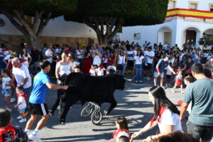 DSC 0485 - Así han sido los Toros de Fuego de Dalías