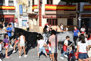 DSC 0494 - Así han sido los Toros de Fuego de Dalías