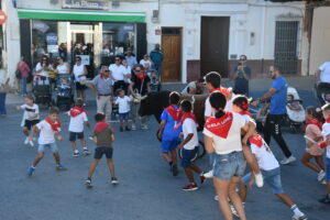 DSC 0504 - Así han sido los Toros de Fuego de Dalías