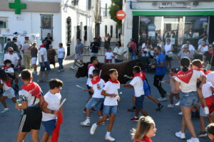 DSC 0508 - Así han sido los Toros de Fuego de Dalías