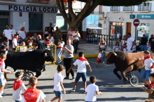 DSC 0511 - Así han sido los Toros de Fuego de Dalías