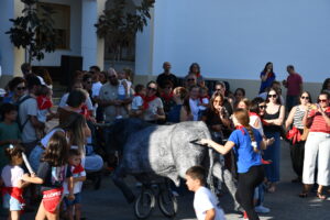 DSC 0523 - Así han sido los Toros de Fuego de Dalías