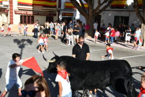 DSC 0532 - Así han sido los Toros de Fuego de Dalías