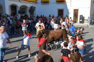 DSC 0546 - Así han sido los Toros de Fuego de Dalías