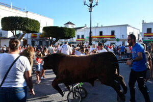 DSC 0564 - Así han sido los Toros de Fuego de Dalías