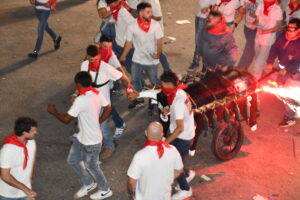 DSC 0673 - Así han sido los Toros de Fuego de Dalías