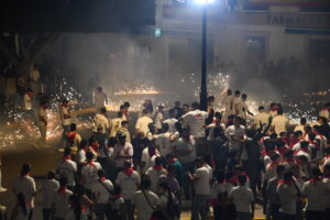 DSC 0697 - Así han sido los Toros de Fuego de Dalías