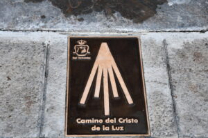 DSC 9390 - Cientos de jóvenes peregrinos acompañan a la Hermandad del Cristo de la Luz