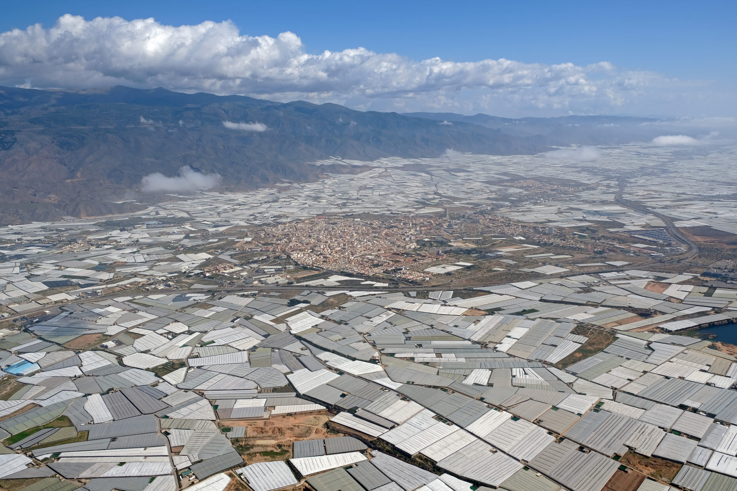 El Ejido aerial scaled - Inicio