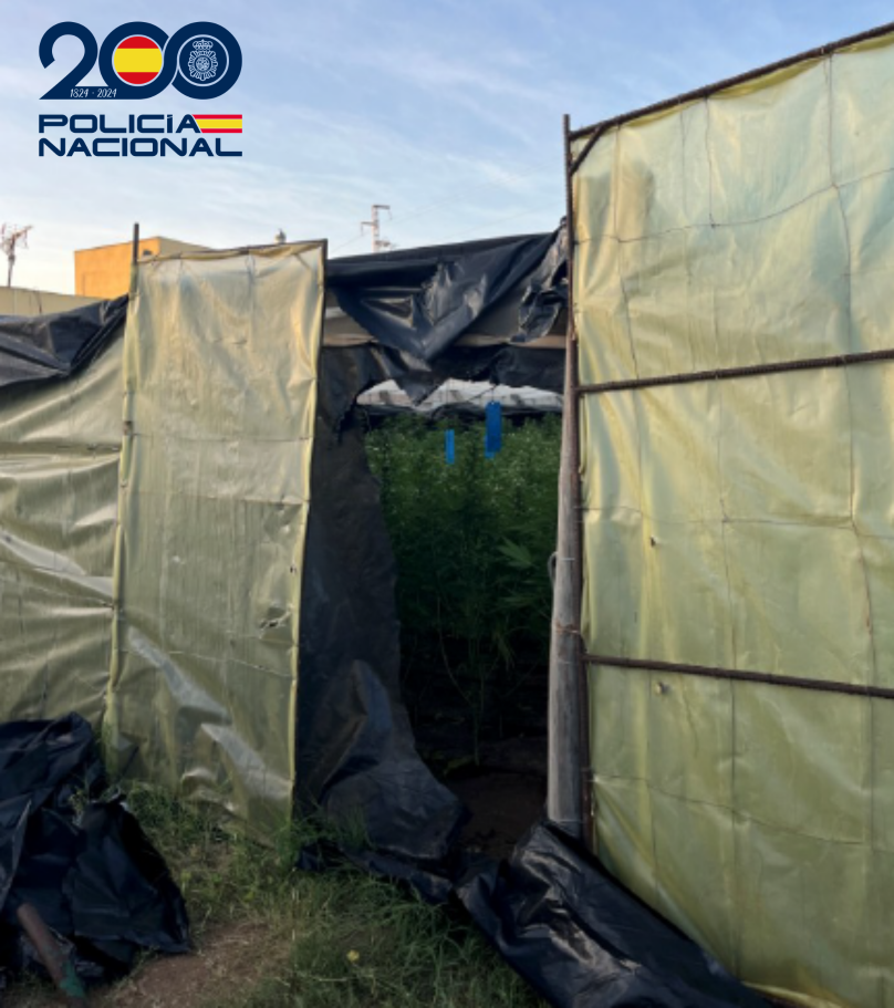 Diseno sin titulo 13 - Tres detenidos en la última operación policial contra el cultivo de marihuana en Matagorda