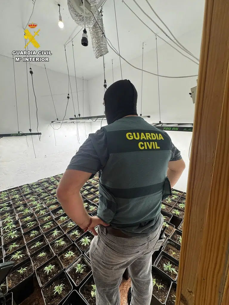 IMG 5657.JPG 768x1024 1 - La Guardia Civil desmantela un secadero y plantación de marihuana en El Ejido