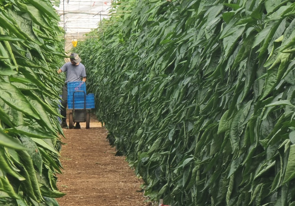 zoomfotonoticia 38427 - Inicio