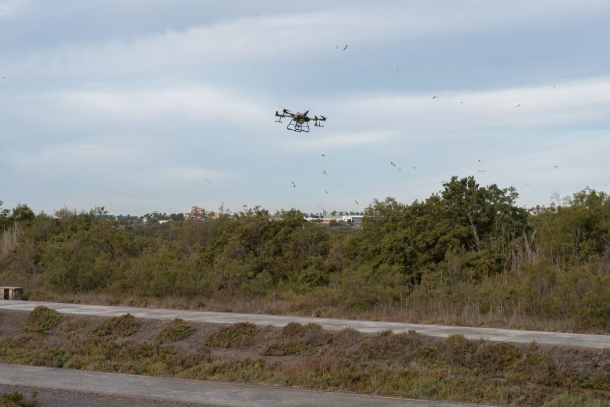 El Ayuntamiento  refuerza con drones los tratamientos contra los mosquitos tras las intensas lluvias