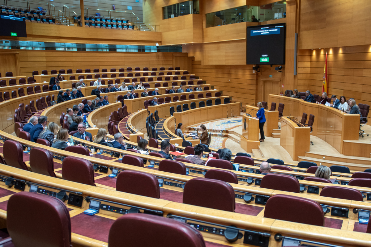 Sesión en el Senado. /Senado