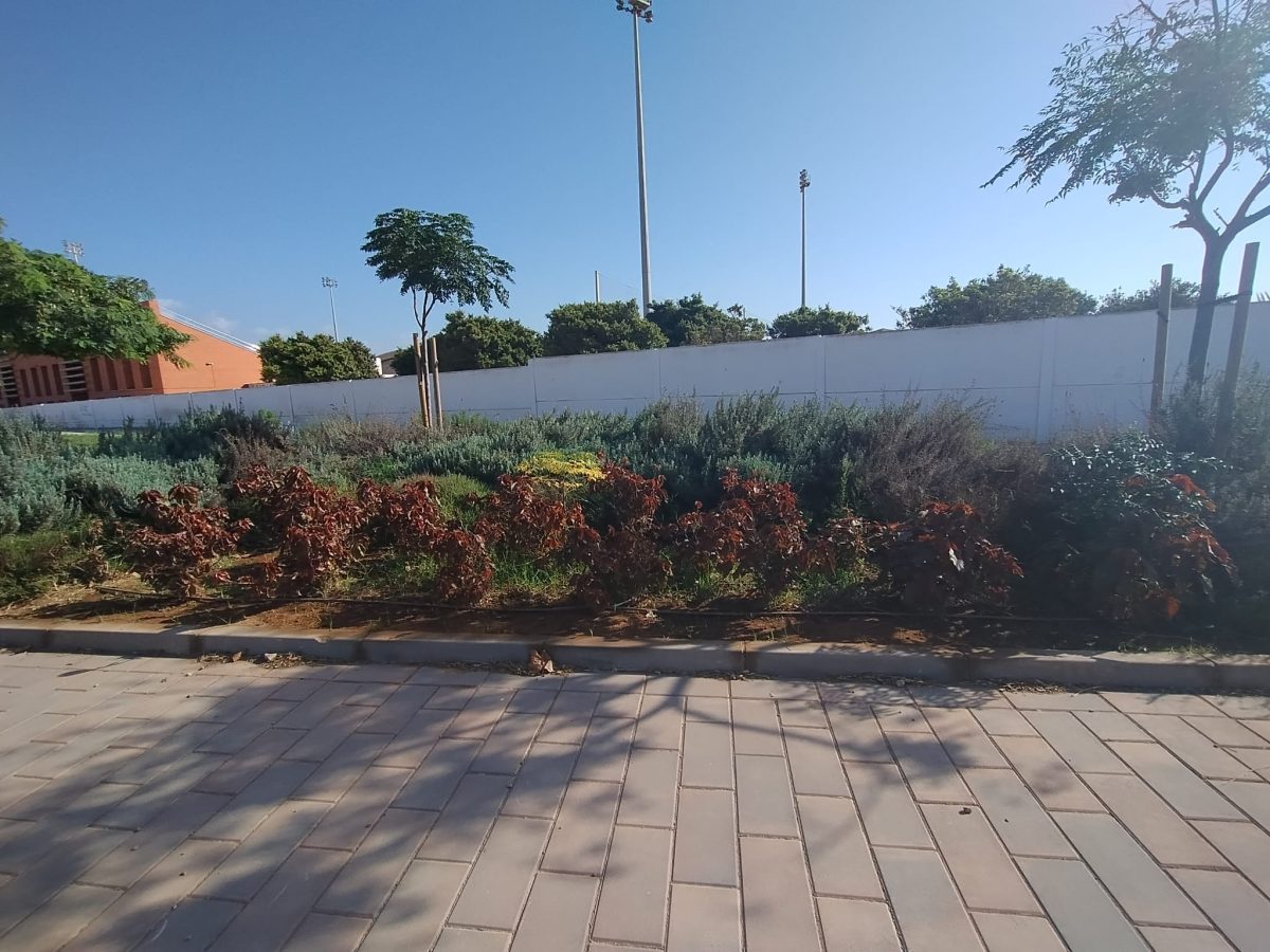 Hasta el mes de septiembre se han plantado 2.086 especies del vivero provincial