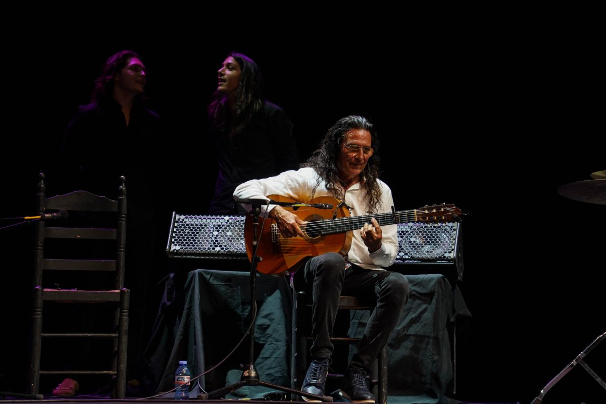 La IV Gala del Día del Flamenco en Andalucía lleva lo mejor de este arte a El Ejido