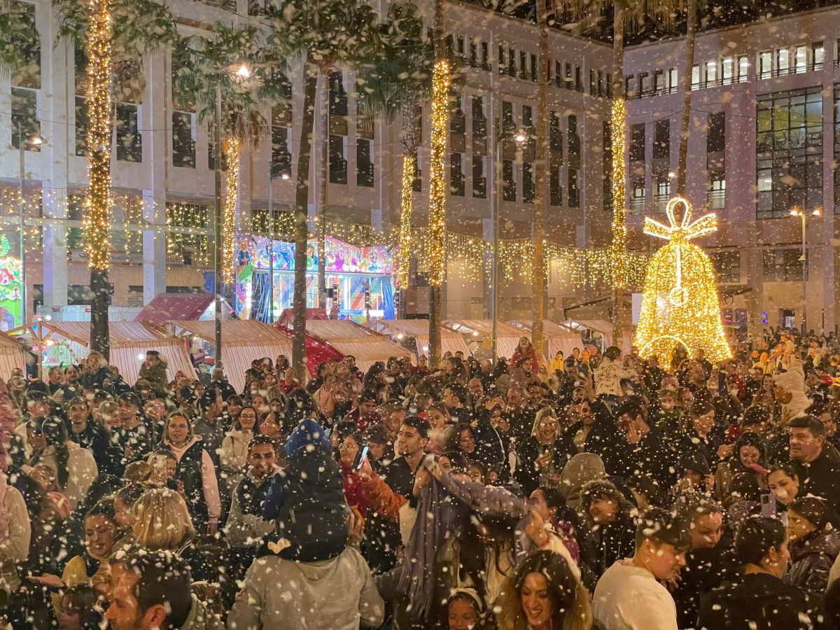 El Ejido se sumerge en la magia de la Navidad con el encendido de la iluminación extraordinaria