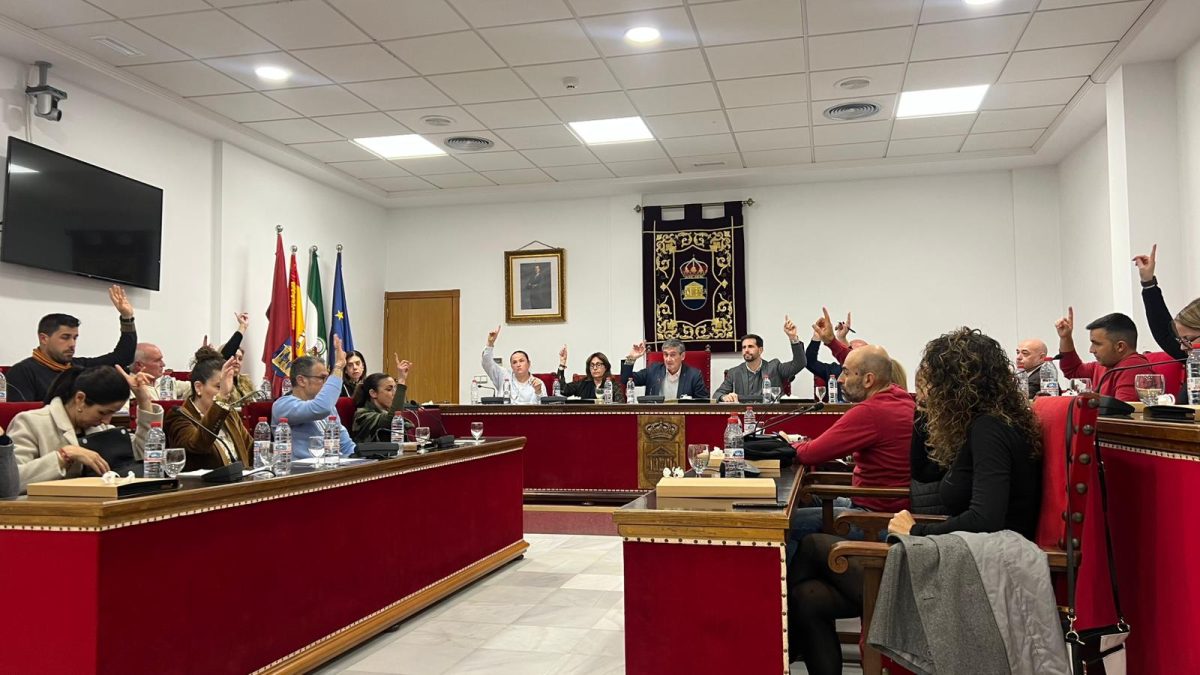 El Pleno lo ha aprobado por unanimidad. /DC