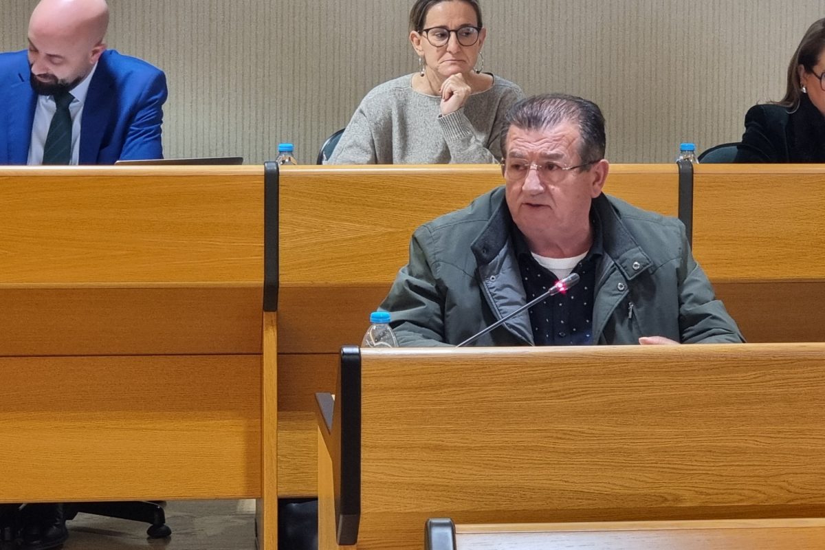 José Miguel Alarcón, portavoz del PSOE de El Ejido. /DC