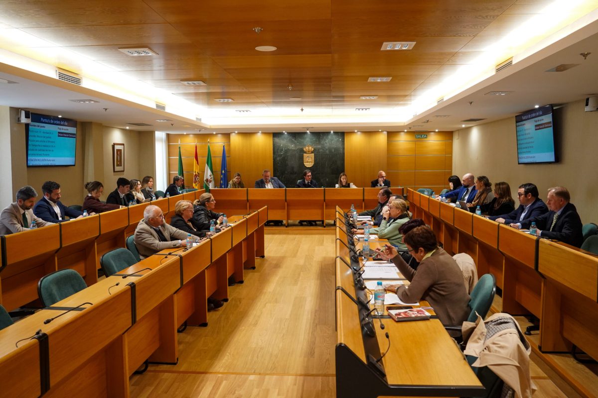 Votación de la moción en el salón de Plenos. /DC