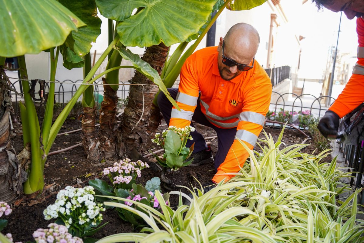 Trabajos de jardinería.