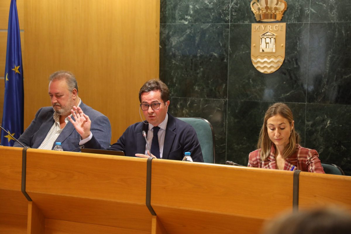 Imagen del Pleno en el Ayuntamiento de El Ejido. /DC