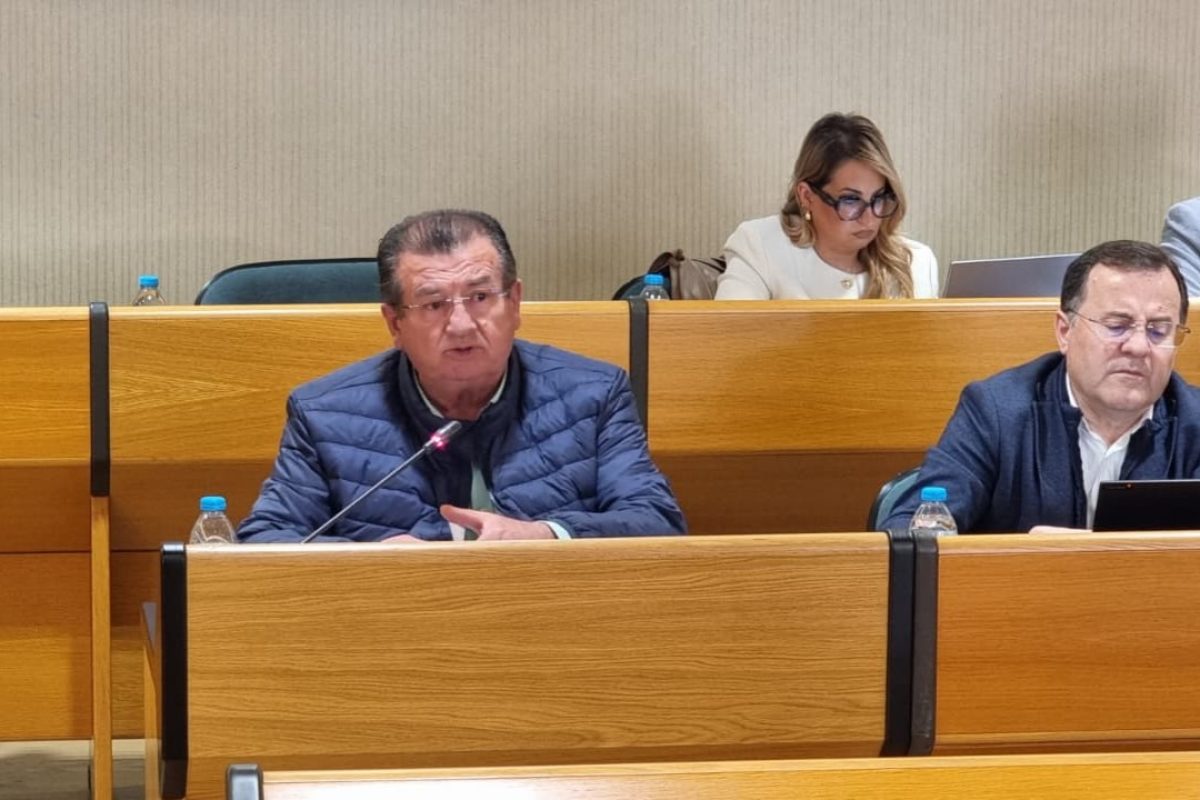 José Miguel Alarcón en el pleno de El Ejido de este viernes 6 de marzo