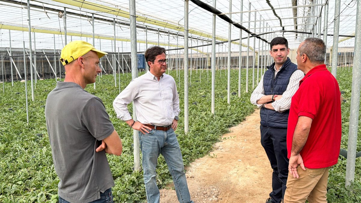 Visita a un cultivo de sandías en El Ejido